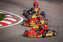 kart088