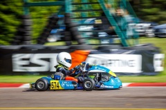 kart118