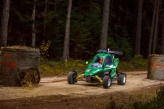 crosskart31