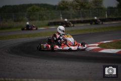 DSC03634