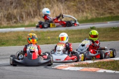 laitsekart028