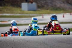 laitsekart029