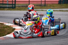 laitsekart048