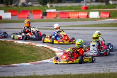 laitsekart107
