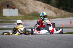 laitsekart108