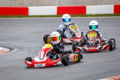 laitsekart115