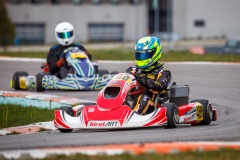 laitsekart117