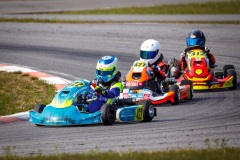 laitsekart133