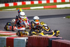 kart17