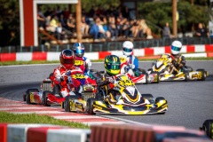 kart29