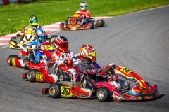 kart33
