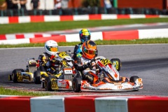 kart37
