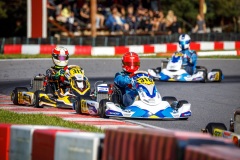 kart77