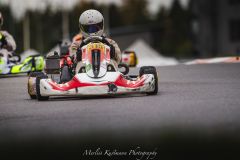 361A4184_tulemus