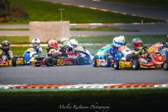 361A4624_tulemus