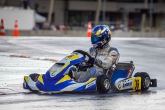 laitsekart119