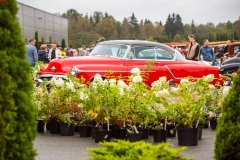 oldtimer007