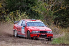saares034