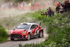 rallism01