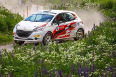 rallism11