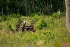 1Y3A4348_tulemus