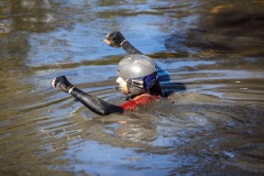 vesi077