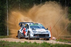 e_wrc31